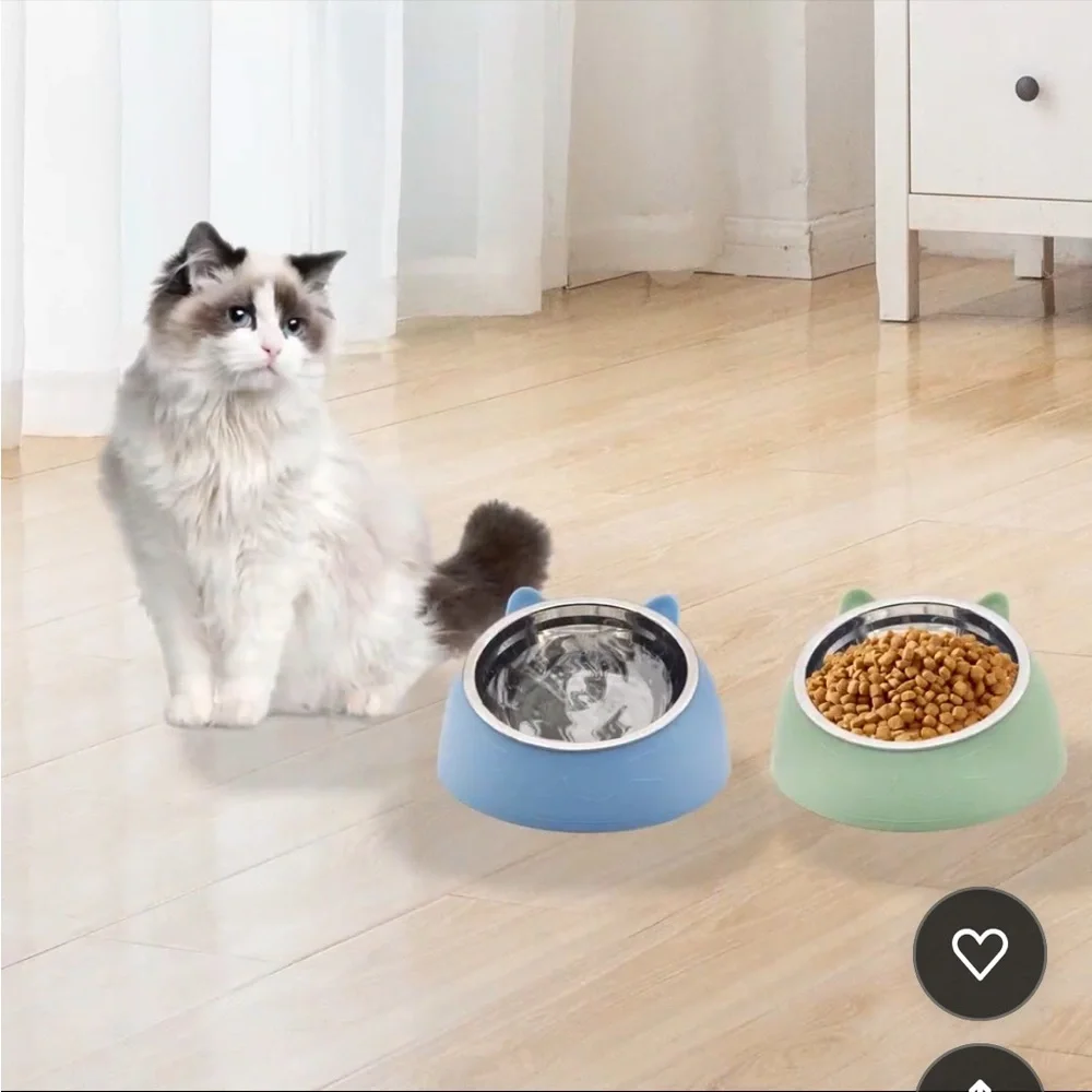 New -Green 200ML SMALL Raised Cat Bowls, Tilted Stainless Steel Cat Food Bowl…